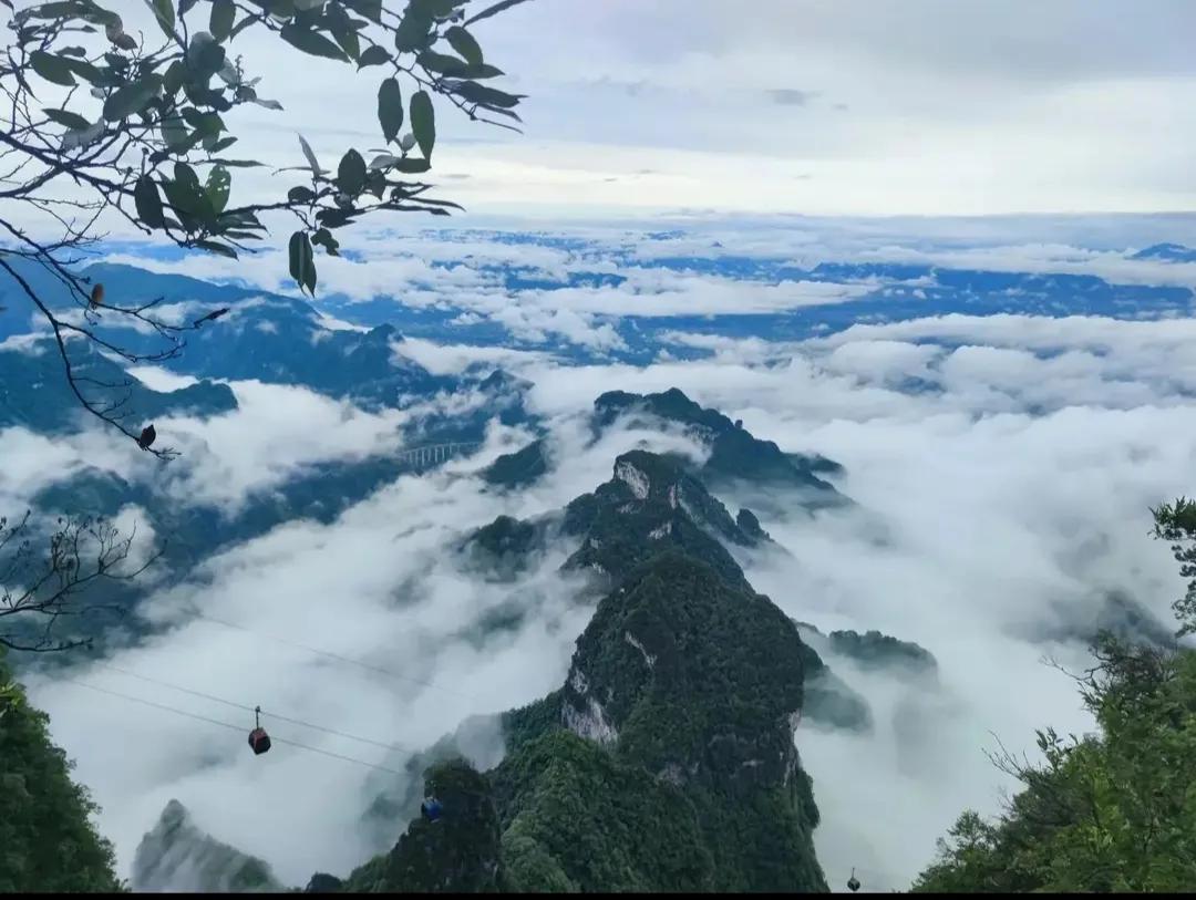 广西崇左明仕田园4*级A**旅游攻略