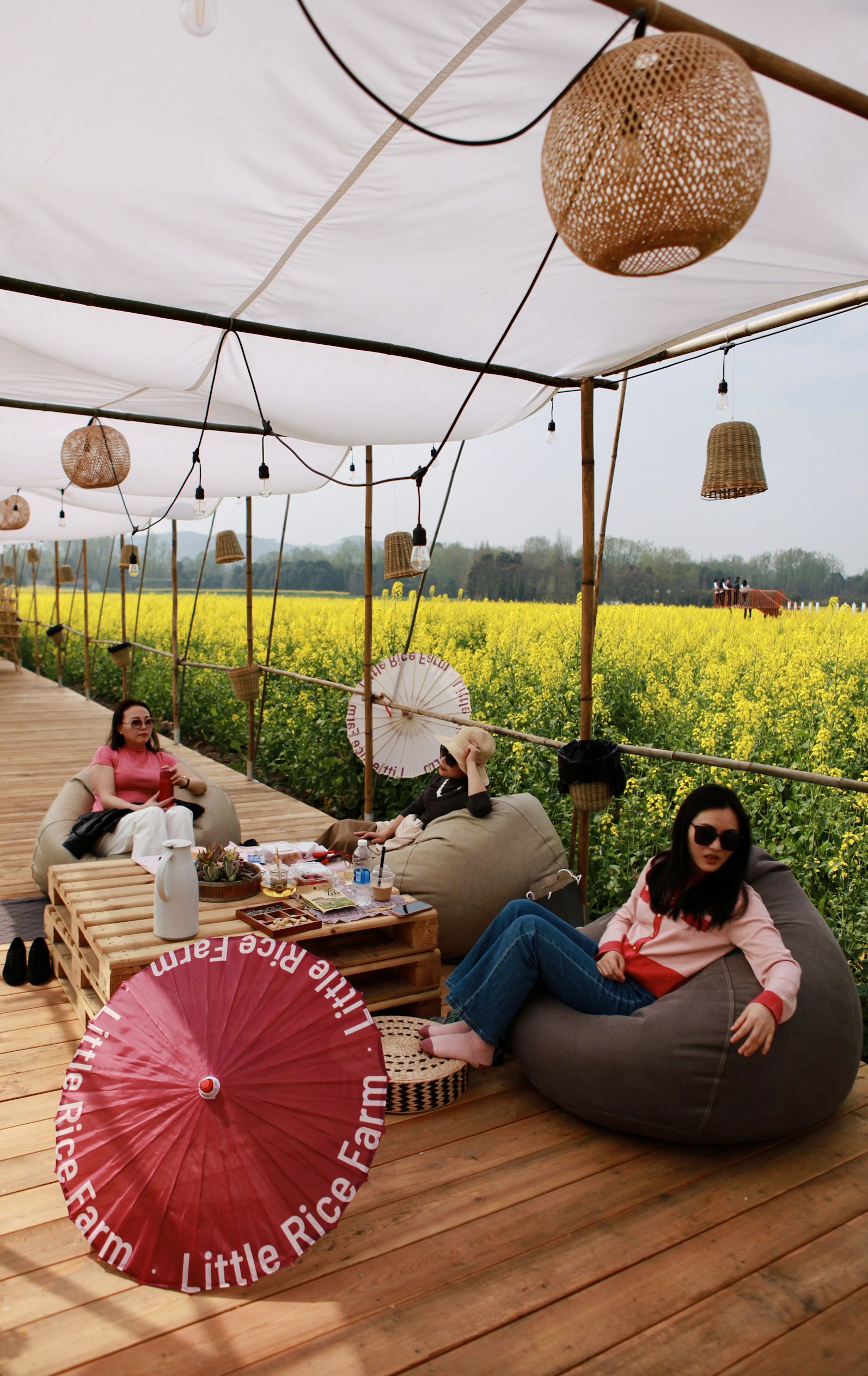 半年客流量飙升10倍探访乡村咖啡店的流量密码