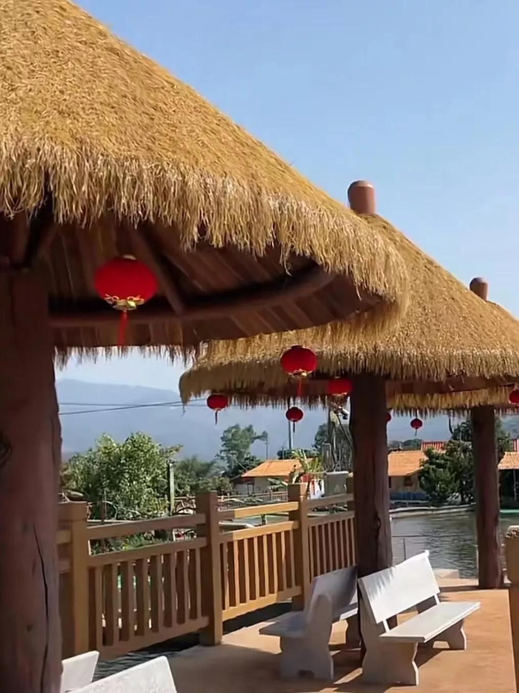 最好吃的淡水鱼排行榜,最好吃的淡水鱼品种大全