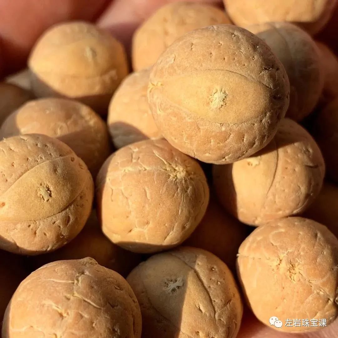 什么样的凤眼菩提最好,正确选择凤眼菩提的步骤