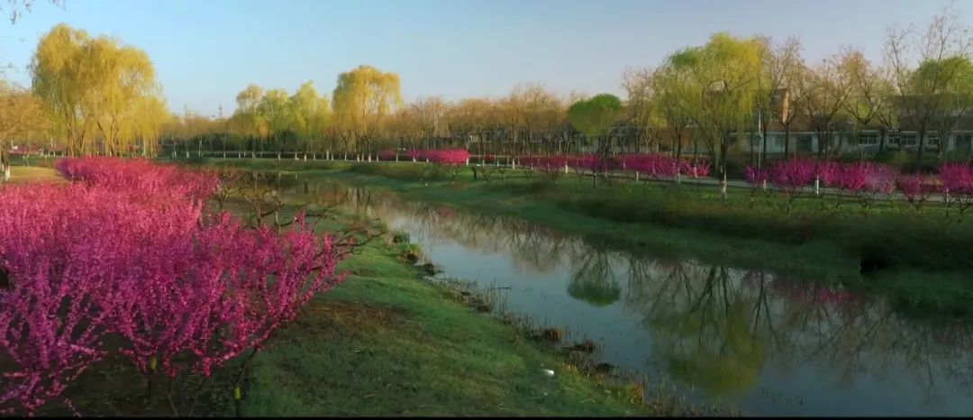 【LIAN上迁安】全国第八届“万步有约”健走激励大赛迁安赛区正式启动