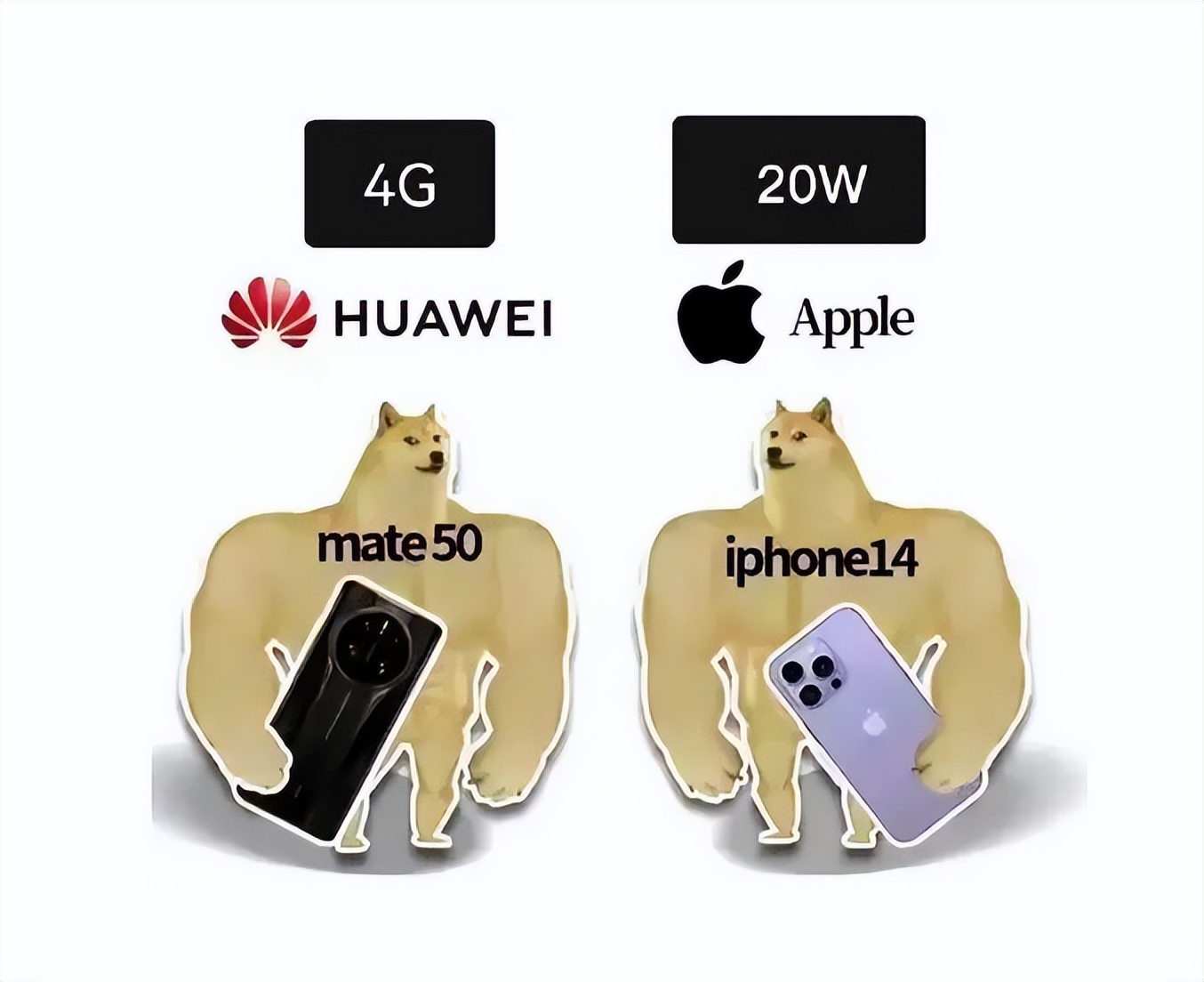 中秋节有新意的礼品,正宗的中秋节礼品推荐