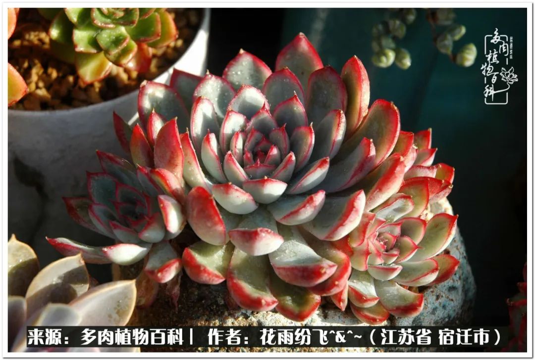 快乐的童年时光视频,回味快乐的童年美好的时光