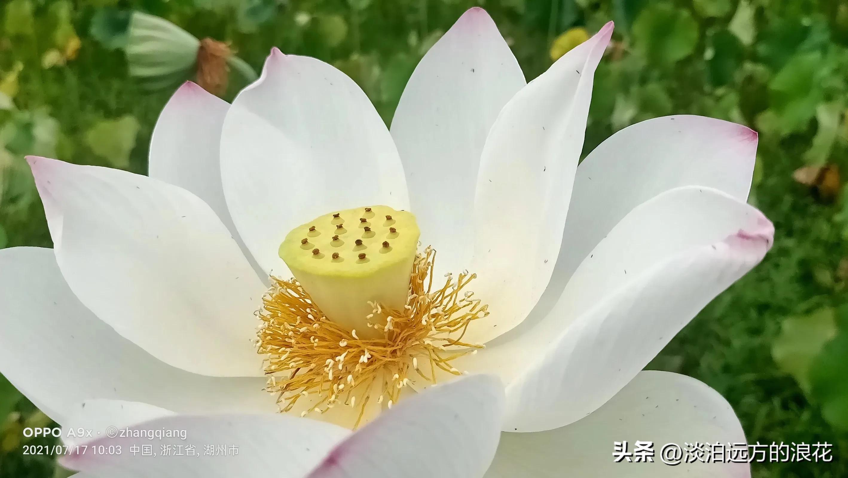 风一样追梦的少年,风一样的青春年少