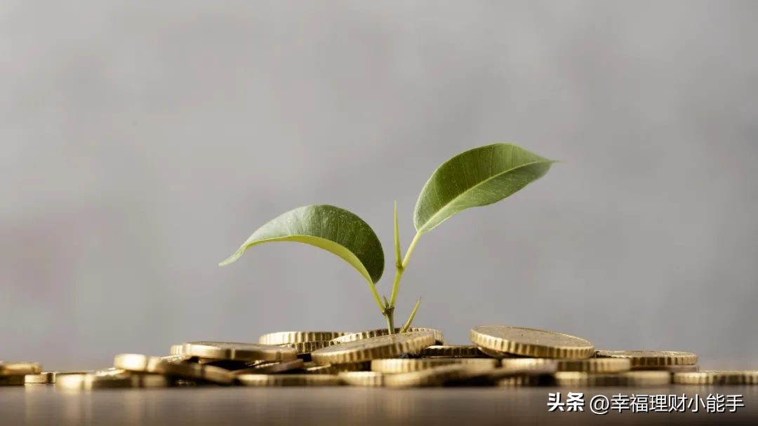 红牛之争迎来新的转折点,红牛争夺战硝烟再起