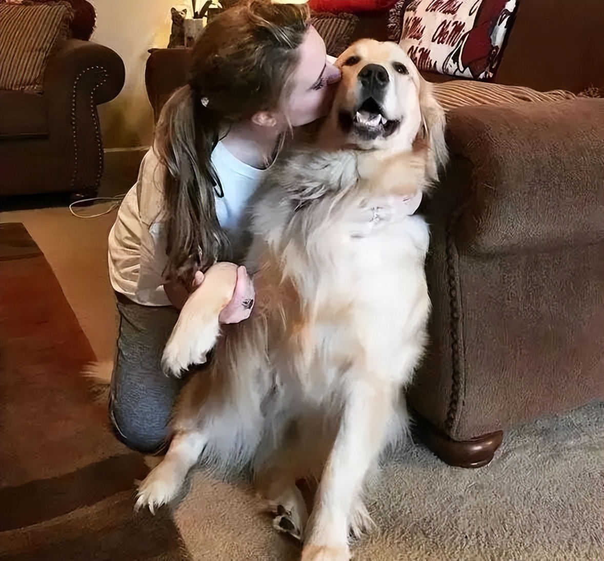 养狗对抑郁症有什么好处和坏处,养狗的4大好处