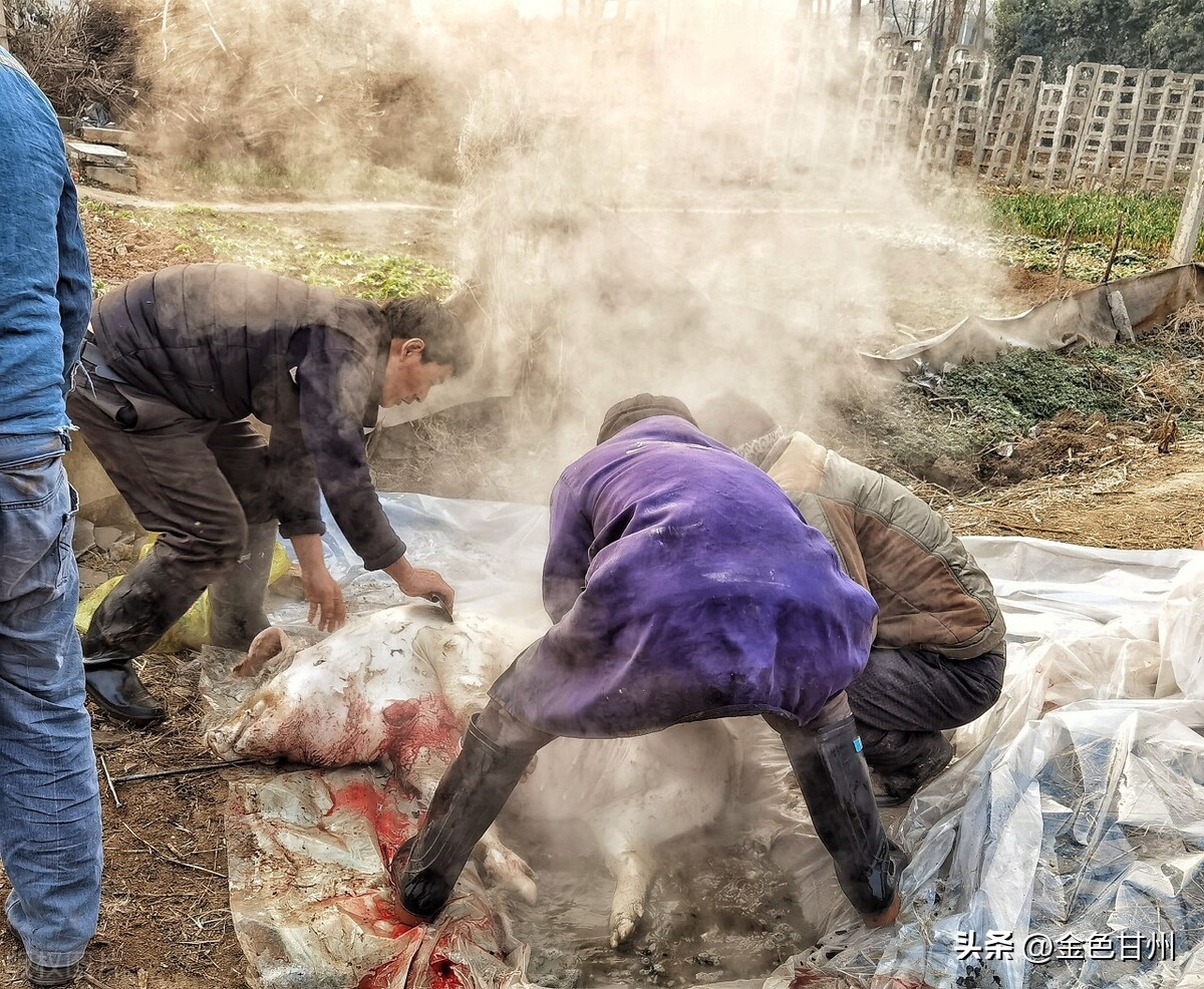 高密市刘俊忠,姜村刘俊忠