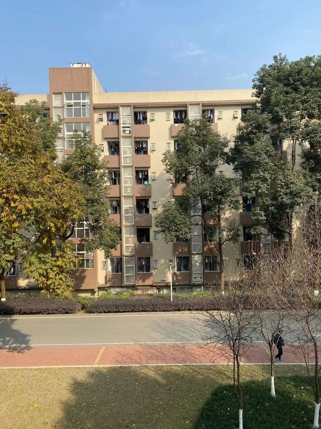 美美美，在阳光灿烂的成电遇见你~