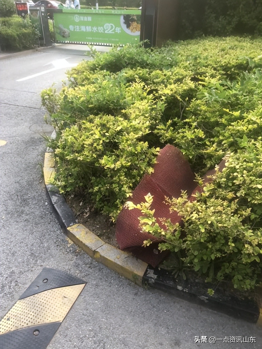 深圳万科物业业主真实感受,郑州万科物业业主真实感受