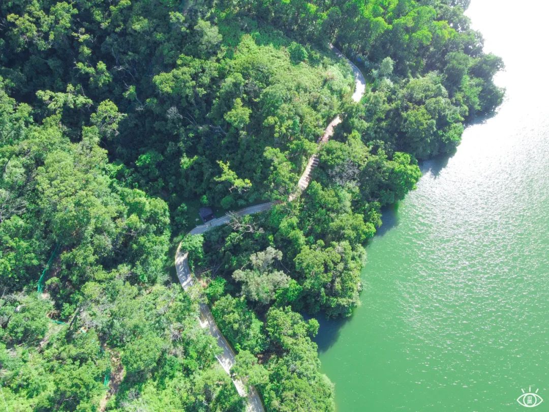 深圳九条最美绿道图片,深圳这10条绿道你去过没