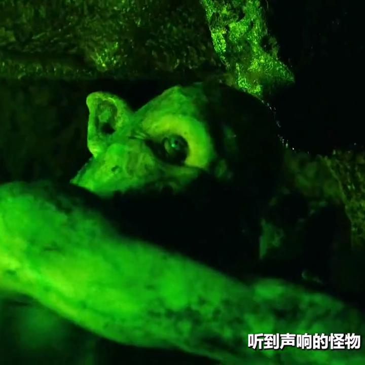 高清电影片段资源,高清电影片段