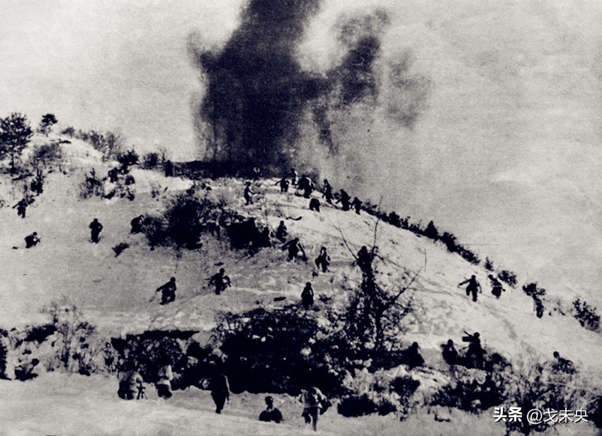 围歼北极熊团敌我伤亡,围歼北极熊团用了多少兵力啊