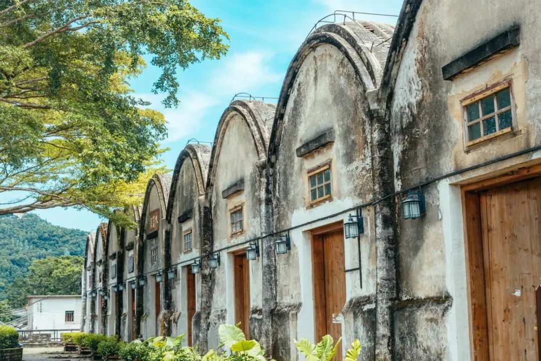 深圳免费好玩旅游景点排行榜前十,深圳十大好玩的景点推荐