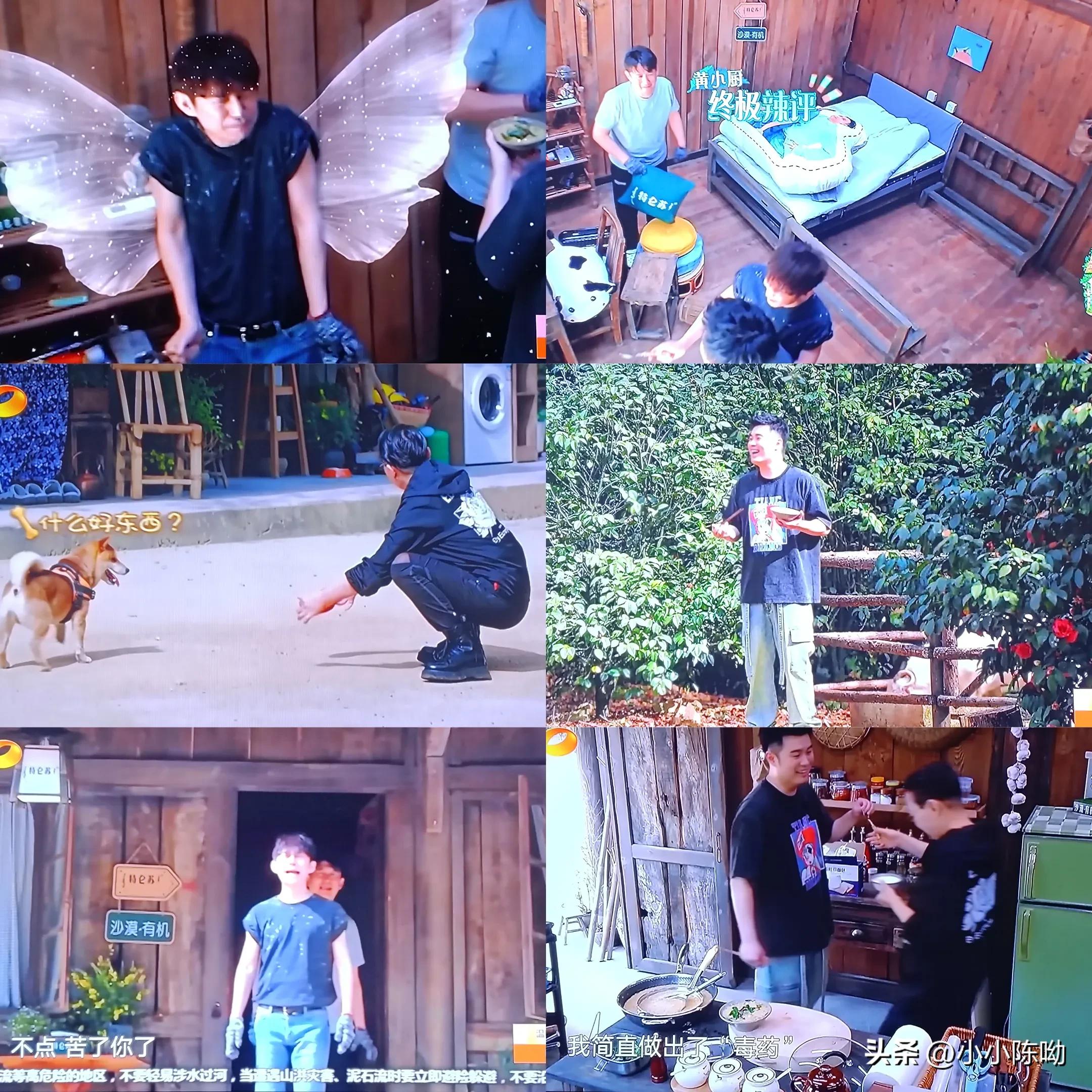 陈赫黑暗料理合集,陈赫和黄磊谁做饭好吃