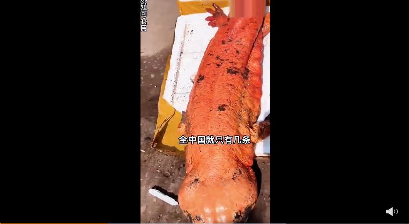 10年以上的刑期会去哪服刑,十年以上刑期和十年以下区别