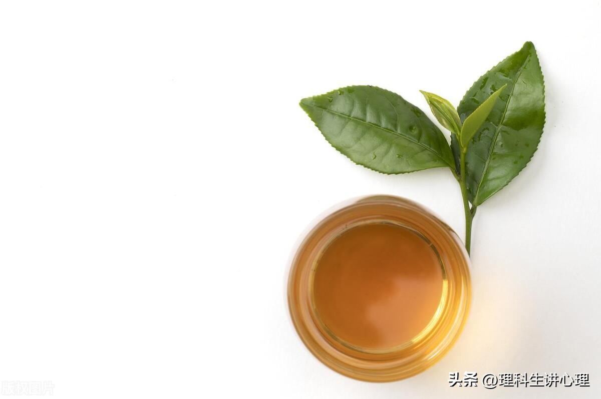 为什么在茶叶店买的茶好喝,为什么在茶店买回来的茶好喝