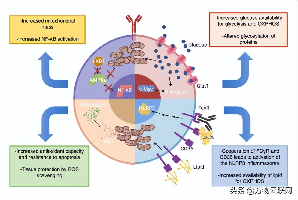生物化学原理,生物化学入门教程