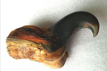 喝老虎酒有什么功效,老虎的骨头对人体有害吗