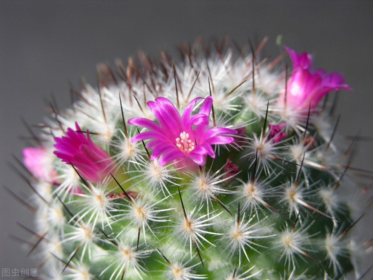 早安问候暖心治愈语录