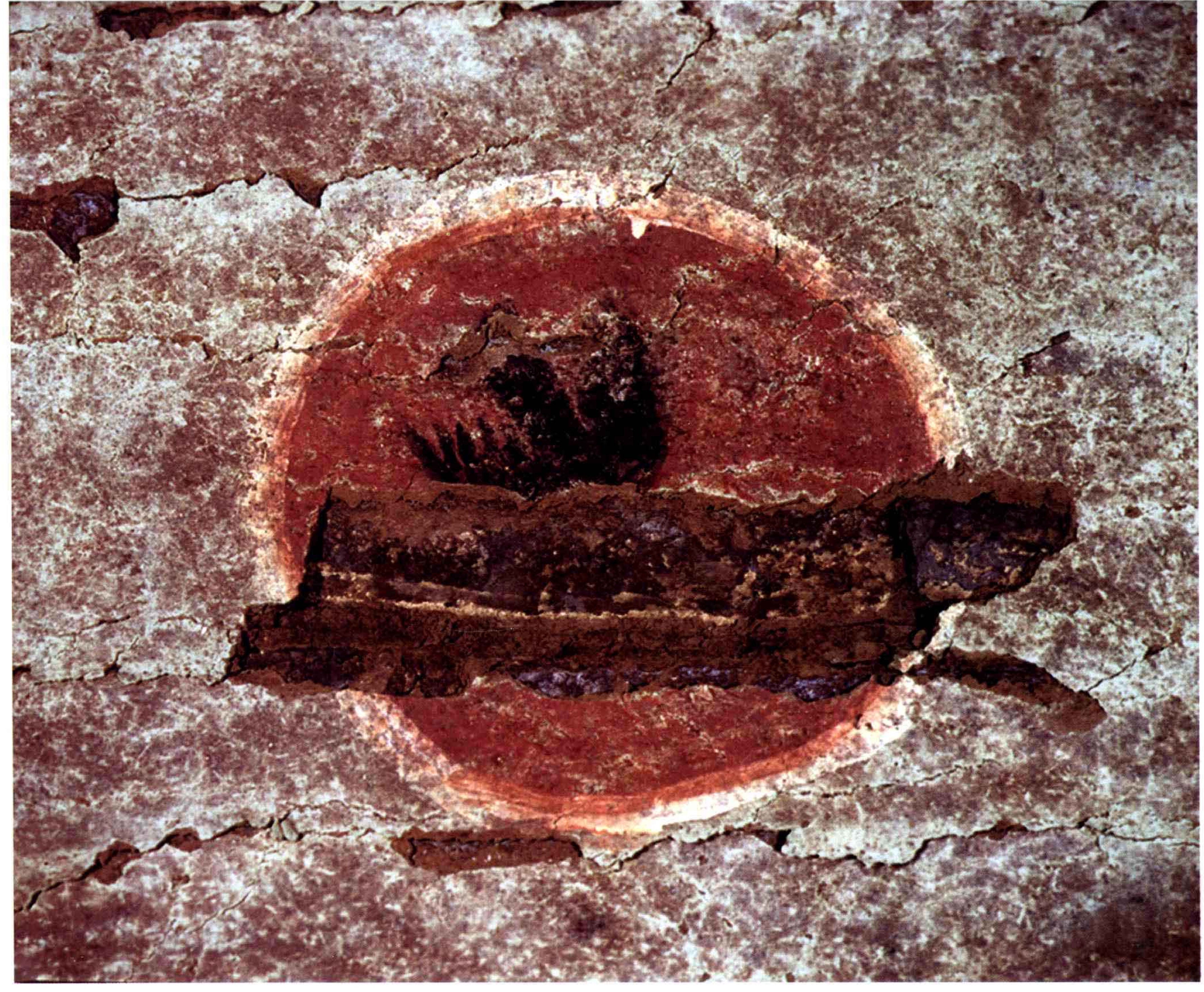 河南出土壁画图片,陕西出土古代壁画展