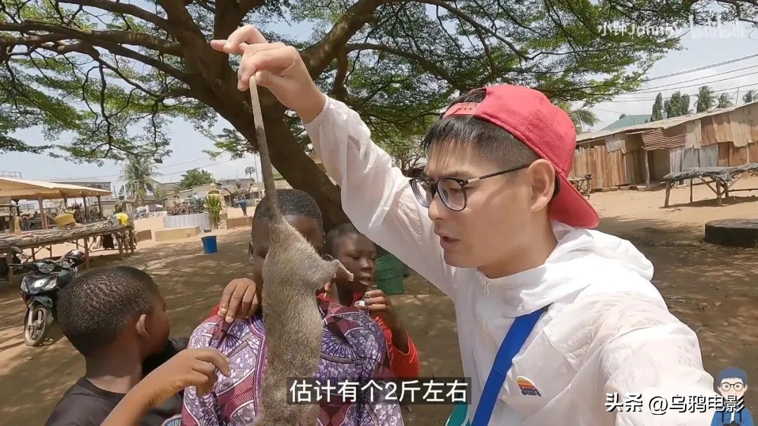 70万人催更！深扒敏感话题，一下成为B站爆款！