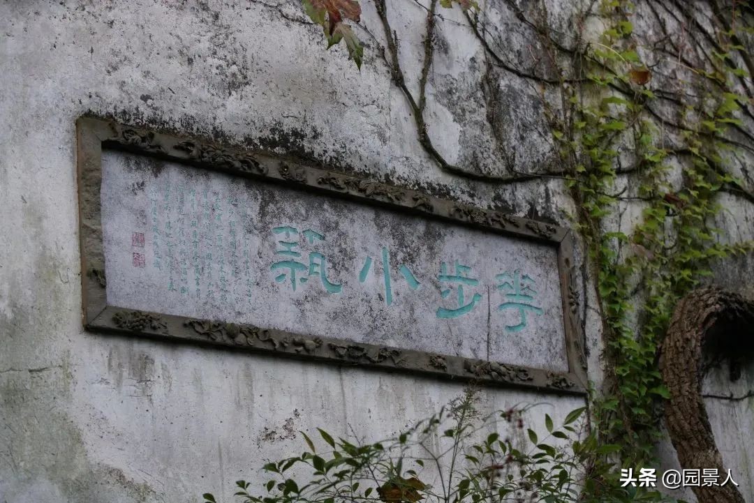 留园江南奇石特点,留园中园的奇石