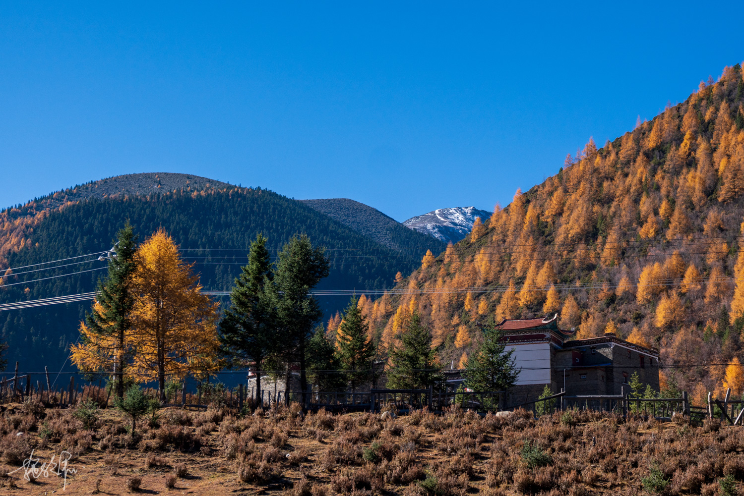 我的2022年度报告,我的2022原版