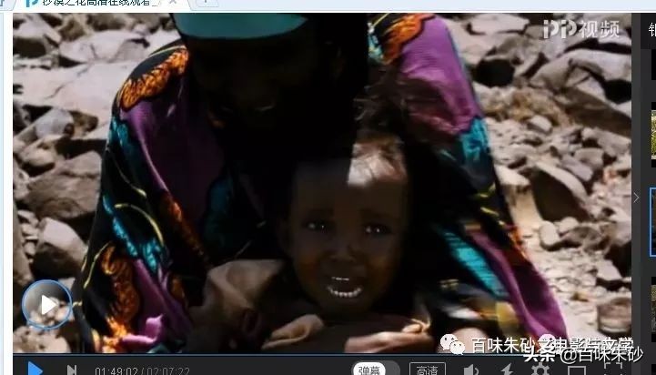 《电影赏析》001:英国影片《沙漠之花》——有一种罪恶叫割礼