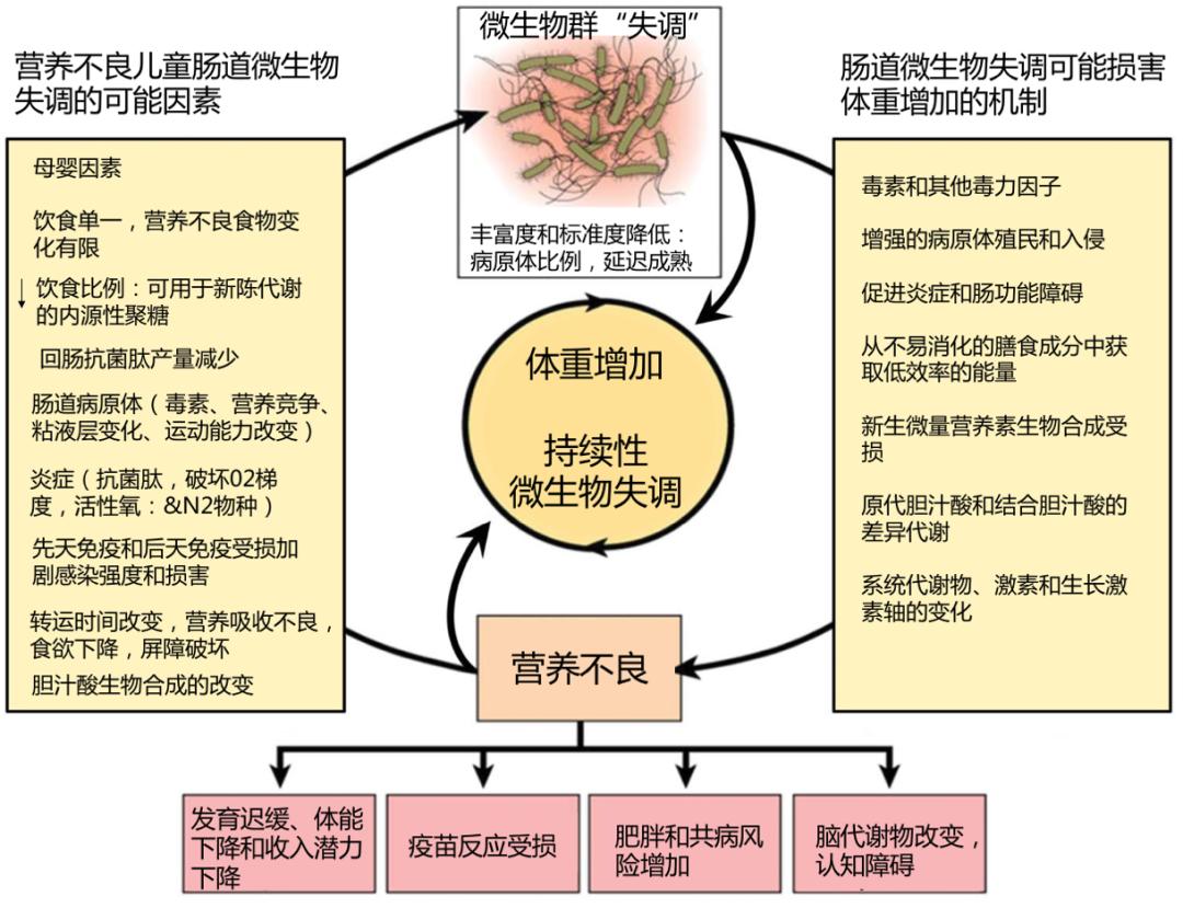 营养不良发育迟缓怎么办,宝宝发育迟缓营养不良不开口说话