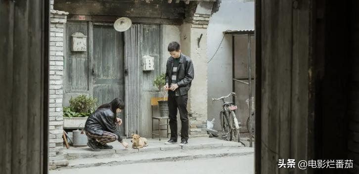 2023年最值得追的好剧,2023年十大排名好剧