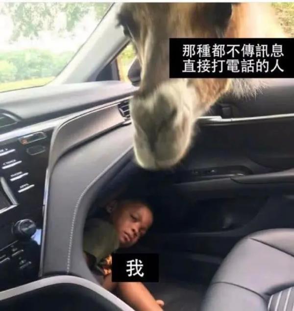 神回复:为什么近视的人睡觉不戴眼镜,那他们晚上做梦能看得清吗