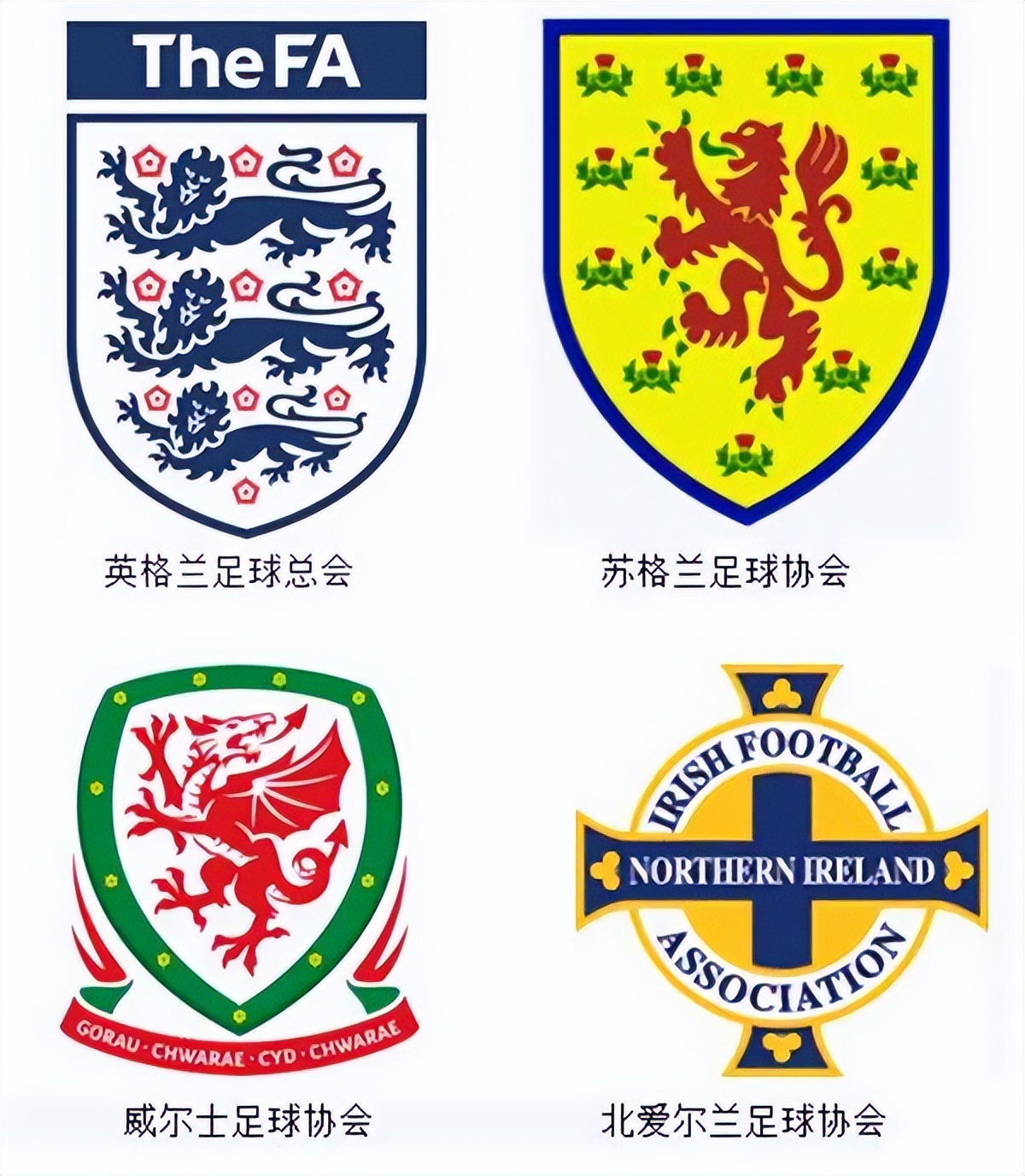 英国几支球队参加世界杯,奇葩英国制度