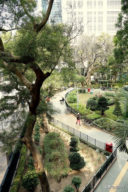 消失的海岸线半条命,快要消失的海岸线