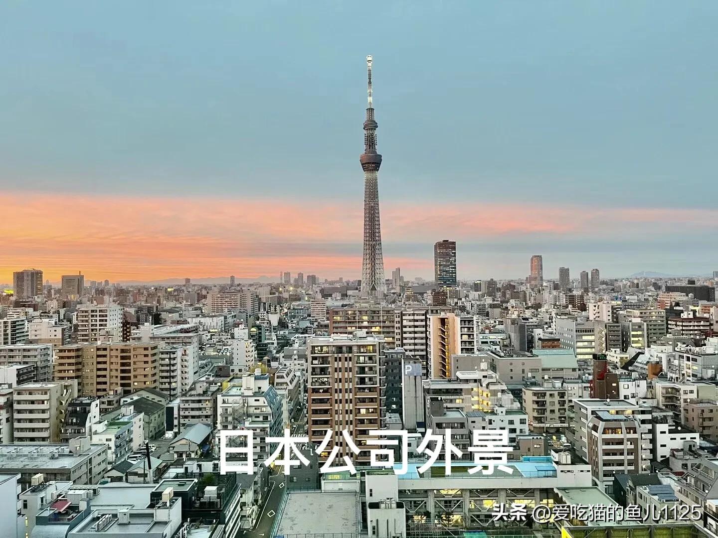 去日本登机最新需要哪些手续 (到达日本需要办理哪些手续)