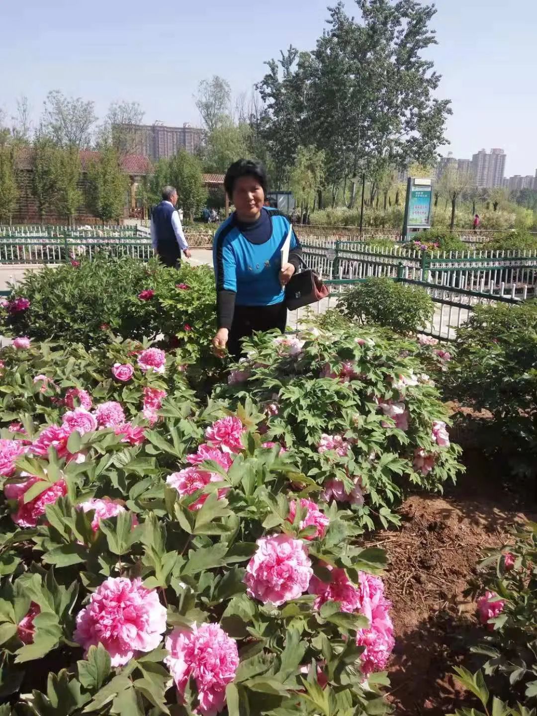 侯*红庆**|欲问红尘多少事，君知千载我无知（原创诗词十二首）