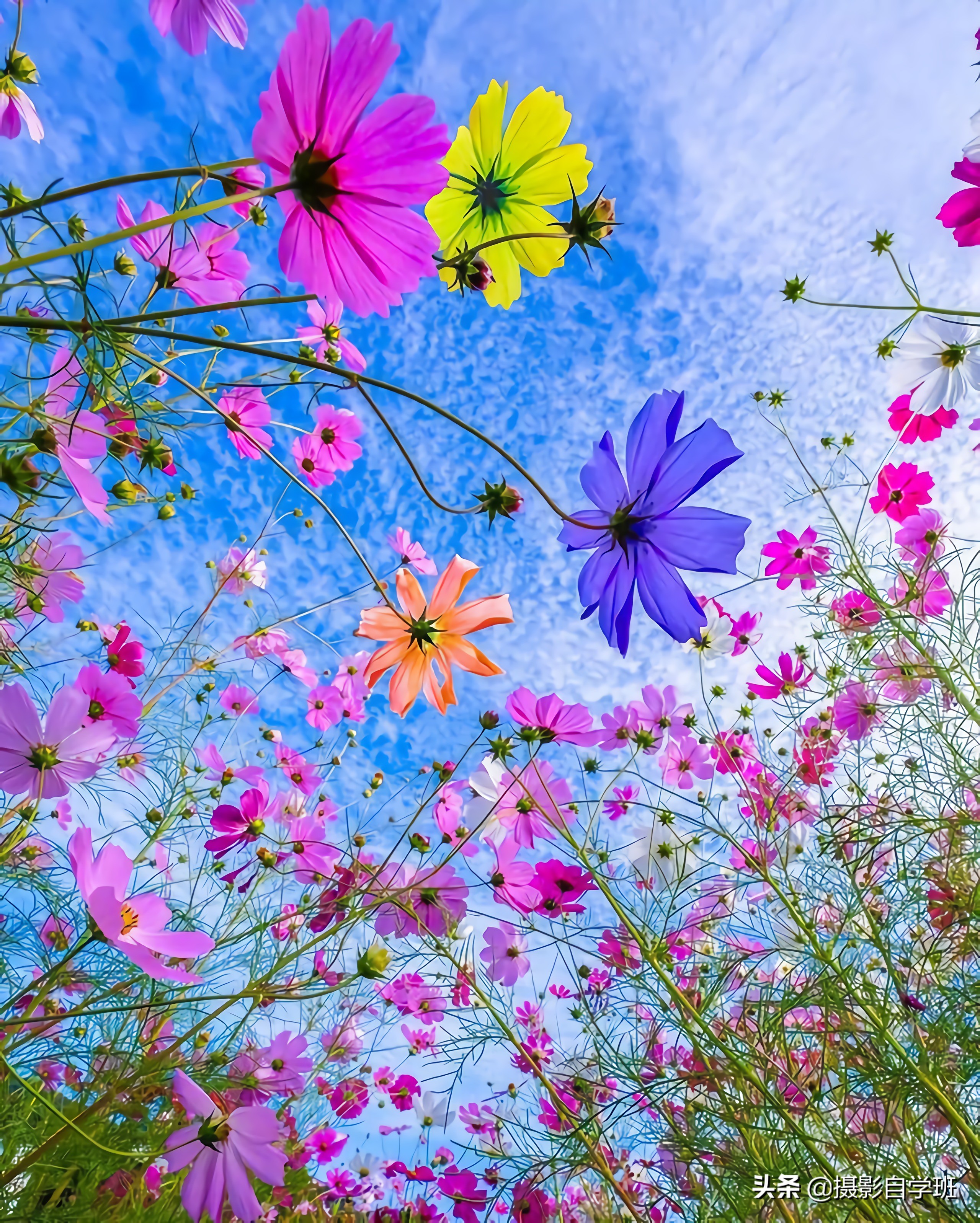 风景摄影如何拍摄好看,拍风光照的12个摄影技巧