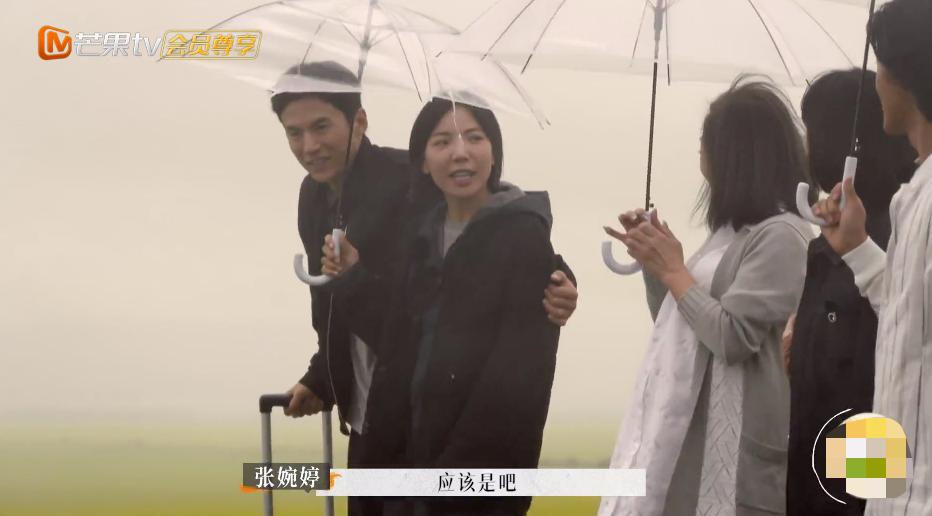 张婉婷宋宁峰最终结果,宋宁峰张婉婷细节分析