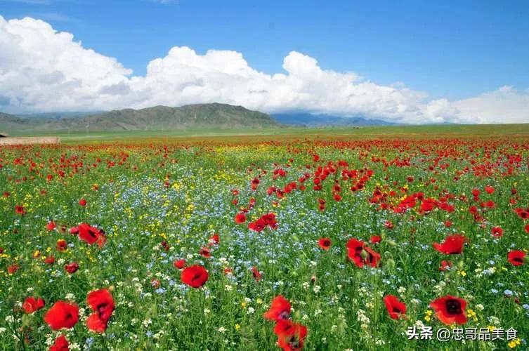 日落晚霞映照九曲十八弯,日落黄昏的九曲十八弯