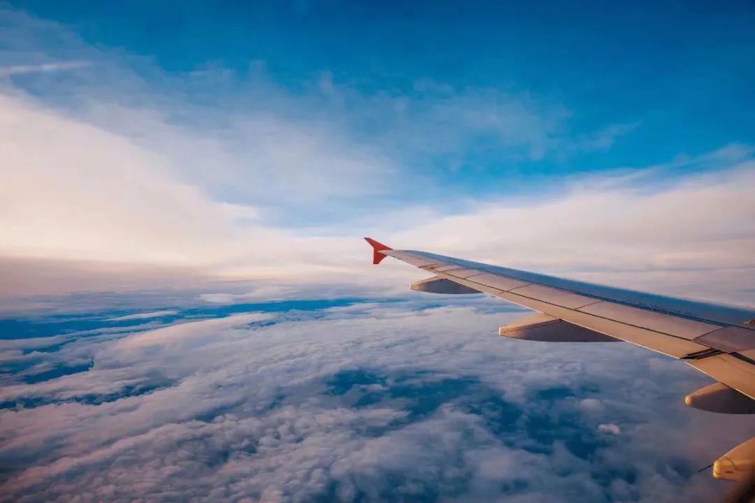 最新各国入境政策及航线调整,3月各国最新入境政策细则来了