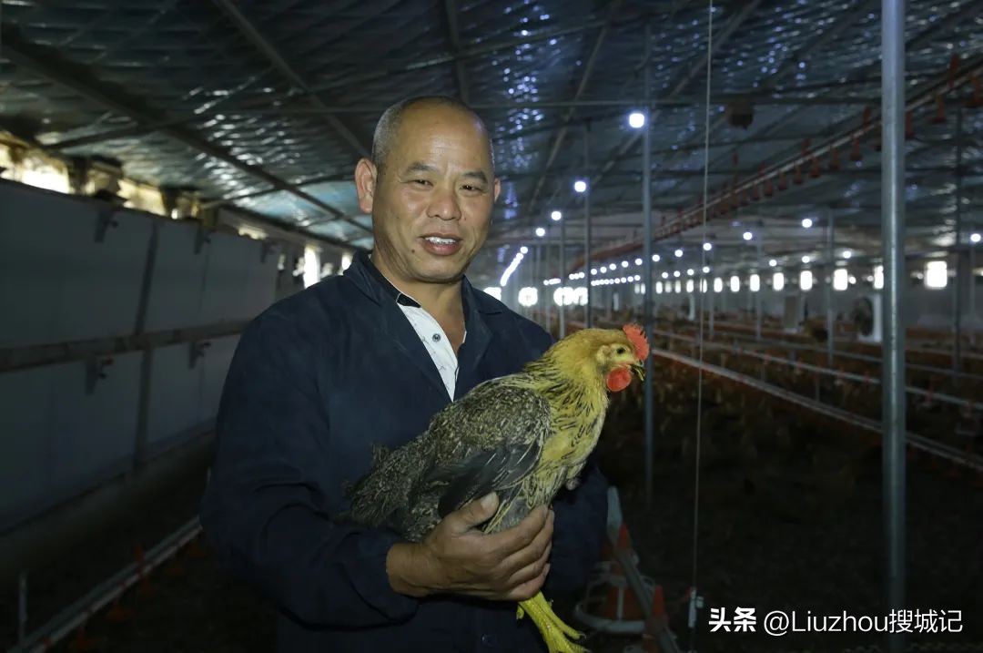 跟着广播看乡村,跟着老乡看乡村振兴