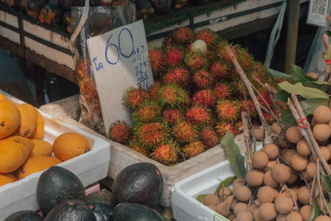 鍘绘嘲鍥芥浖璋峰拰鑺彁闆呯殑鏀荤暐,鍘绘嘲鍥界帺杞浖璋疯姯鎻愰泤