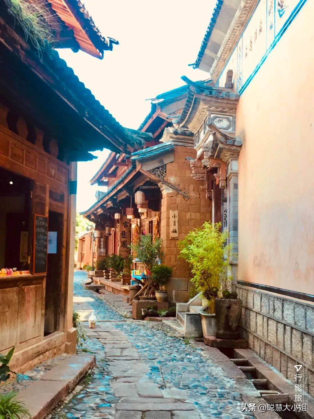 云南，80%年轻人最爱的度假圣地