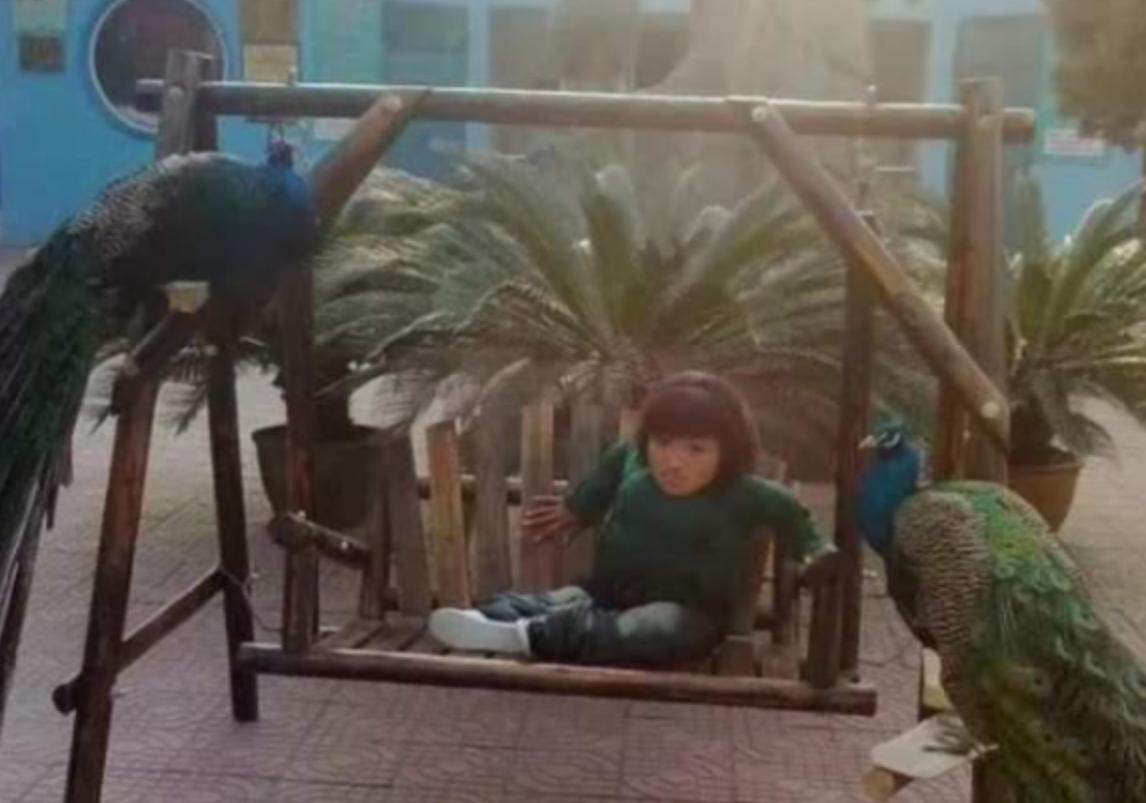 河南侏儒女孩靠短视频吸粉600万，嫁1米8丈夫后遭抛弃，如今怎样