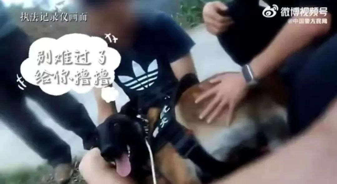 民政局婚姻登记法律法规宣传活动,520婚姻登记机关正常开展婚姻登记