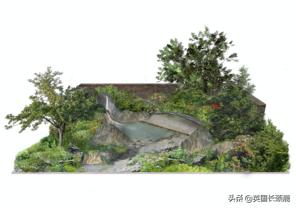2020年切尔西花展抢先看,2023年切尔西花展