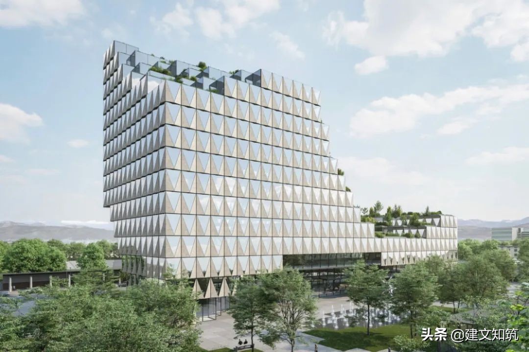 waf2023世锦赛,waf国内排名