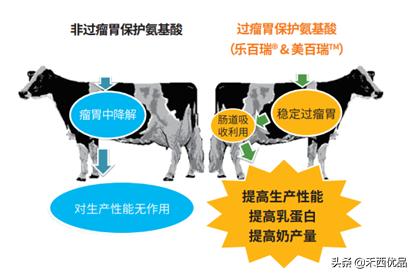 饲料价格暴涨怎么办,饲料价格调整方法