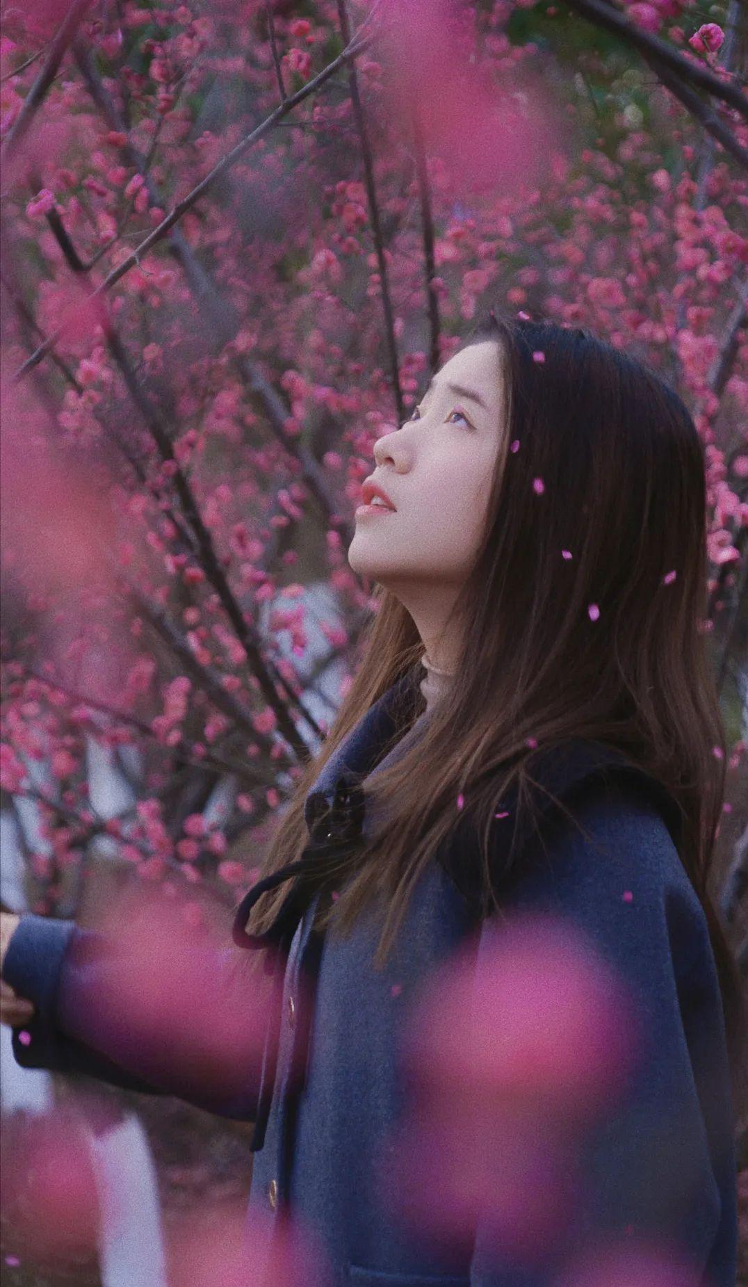 必去的苏州十大最美园林,来苏州必逛的四大园林