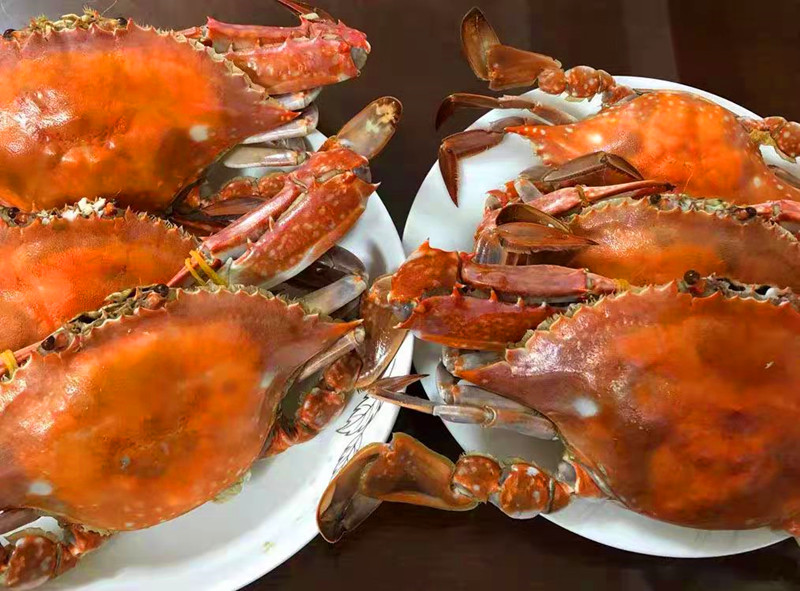 蒸螃蟹冷水下锅还是热水下锅,蒸螃蟹水开了蒸还是冷水蒸
