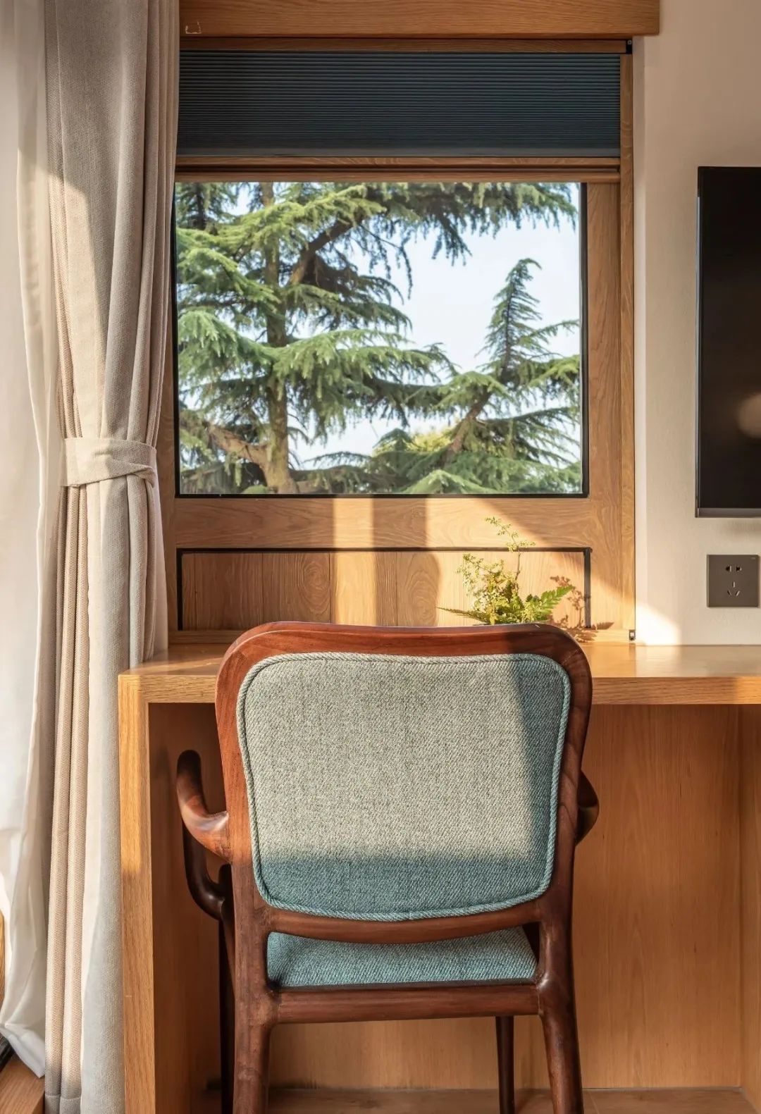 苏州最有特色民宿推荐,苏州特色民宿推荐